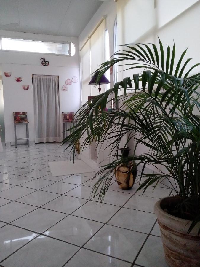 Boutique Basic Hotel Puerto Vallarta Kültér fotó