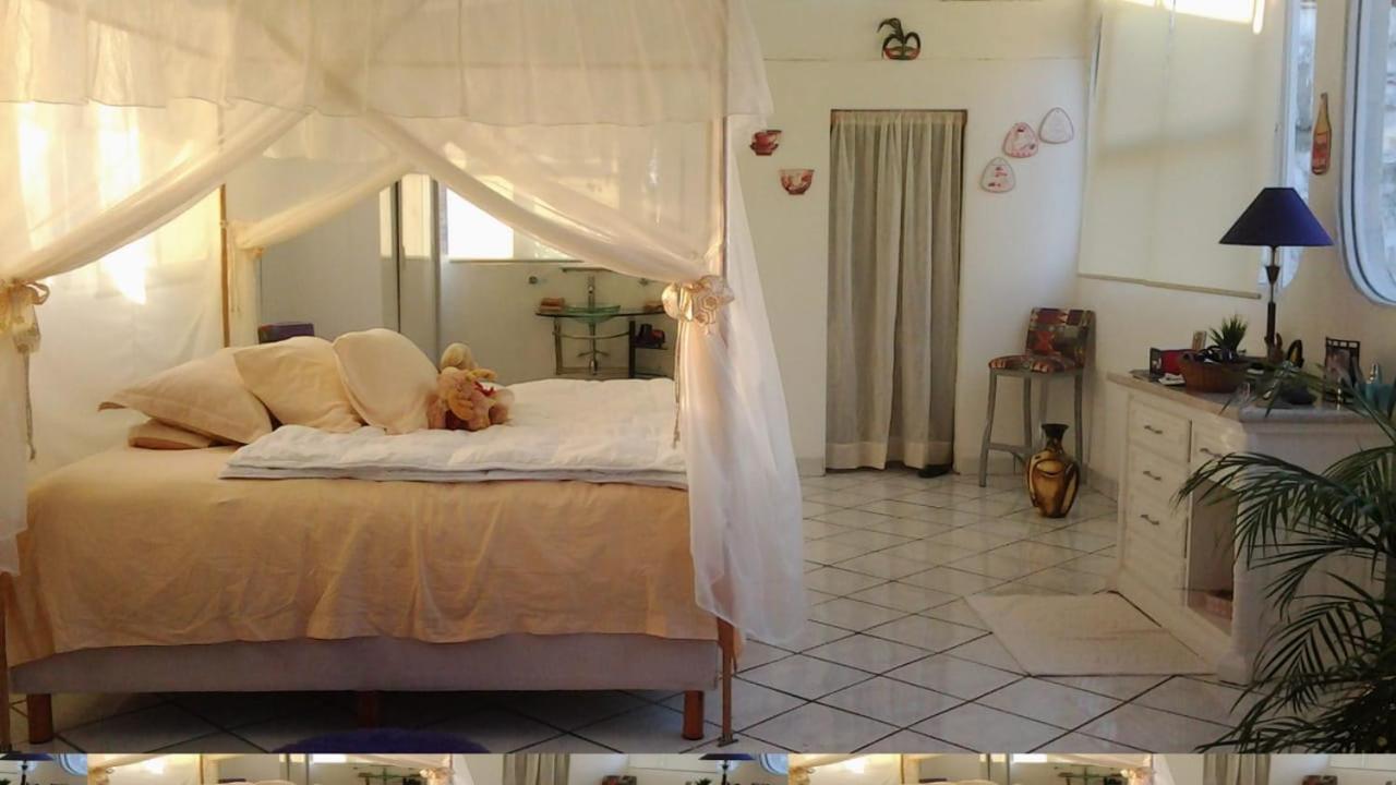 Boutique Basic Hotel Puerto Vallarta Kültér fotó