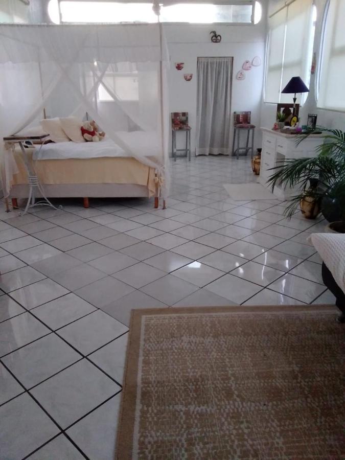 Boutique Basic Hotel Puerto Vallarta Kültér fotó