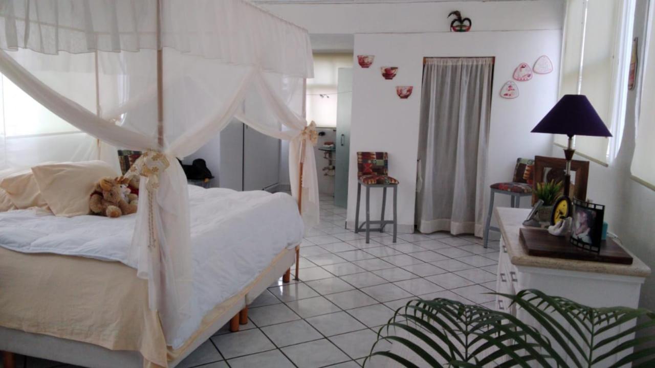 Boutique Basic Hotel Puerto Vallarta Kültér fotó